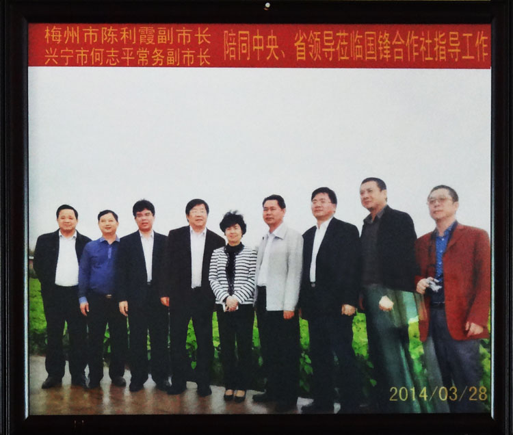 梅州市陳利霞副市長 興寧市何志平常務副市長陪同中央、省領導蒞臨國鋒合作社指導工作