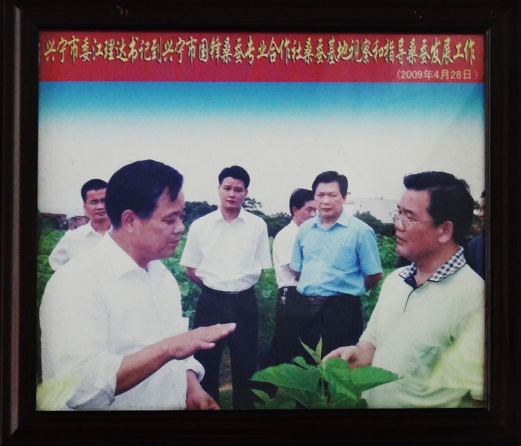 興寧市委江理達書記到興寧市國鋒桑蠶專業(yè)合作社指導工作