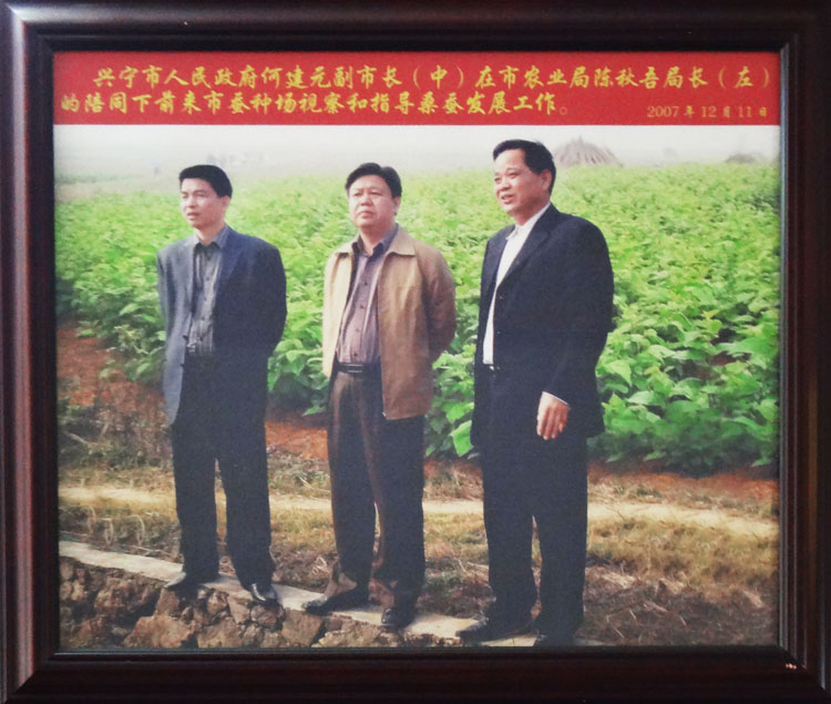 興寧市人民政府何建元副市長在農業(yè)局陳秋吾局長陪同下前來蠶種場視察和指導桑蠶發(fā)展工作