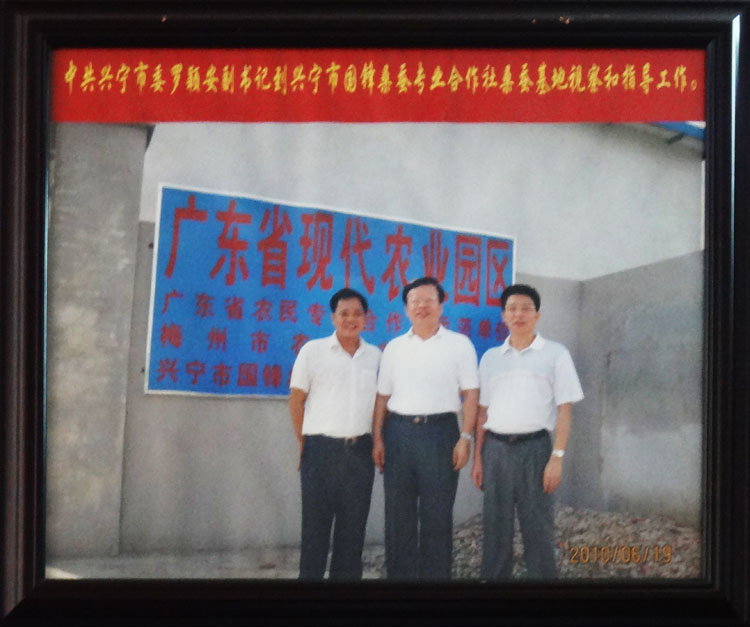 中共興寧市委羅穎安副書記到興寧國鋒桑蠶專業(yè)合作社指導工作